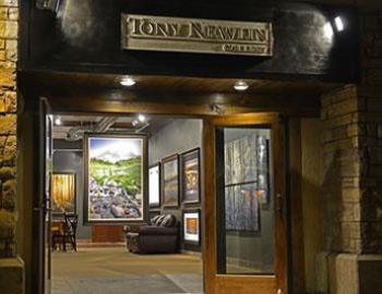 Tony Newlin Gallery Telluride art