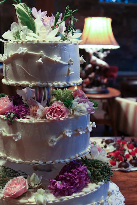 Telluride wedding cake