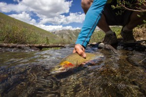 Fishing outside in Telluride