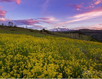 Fall in Telluride