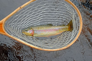 Fishing in Telluride