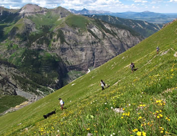 Hiking trail near Telluride