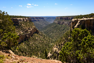 Mesa Verde Canyon