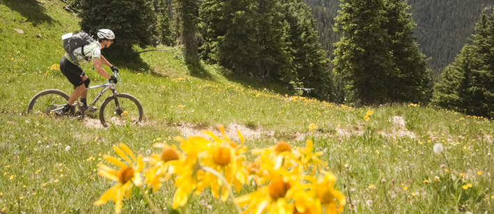 Mountain Biking view in Telluride