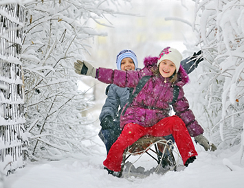 Kids on a sled