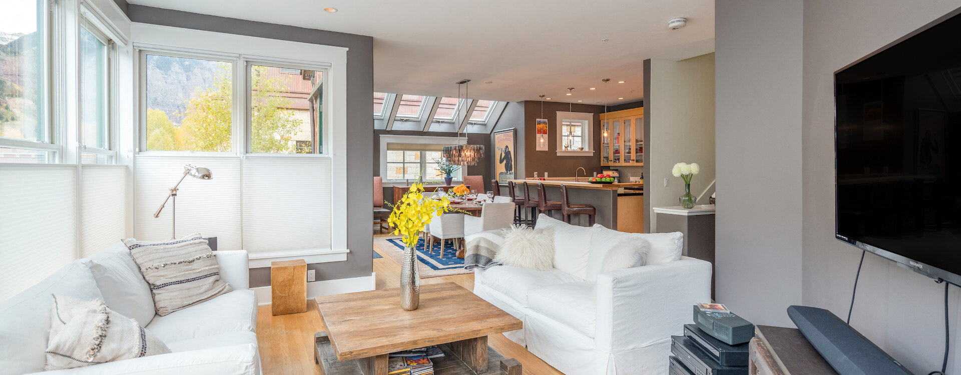 1-Telluride-Pacific-Place-Living-Reverse-Web