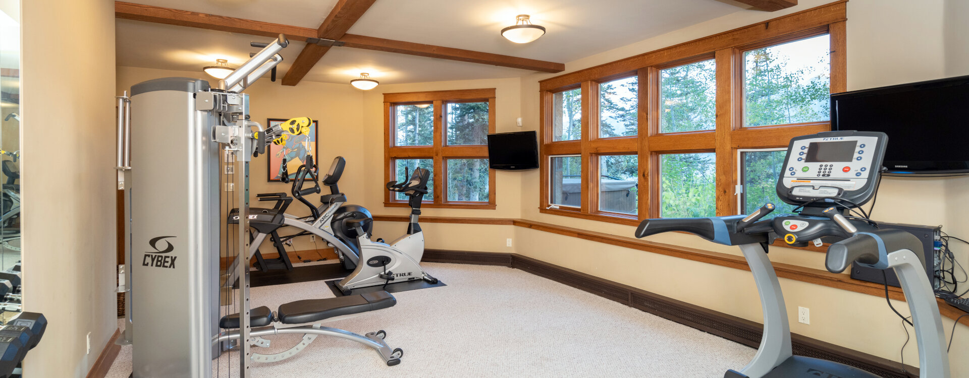 16-Telluride-Alpenglow-Gym