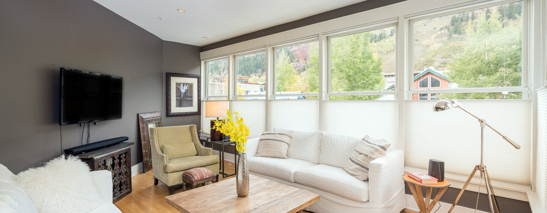 2-Telluride-Pacific-Place-Living-TV-Web