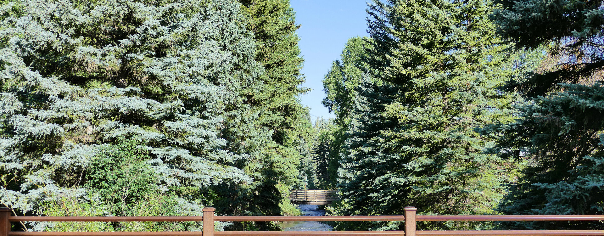 2.09-telluride-bear-creek-modern-4-river_from_bridge