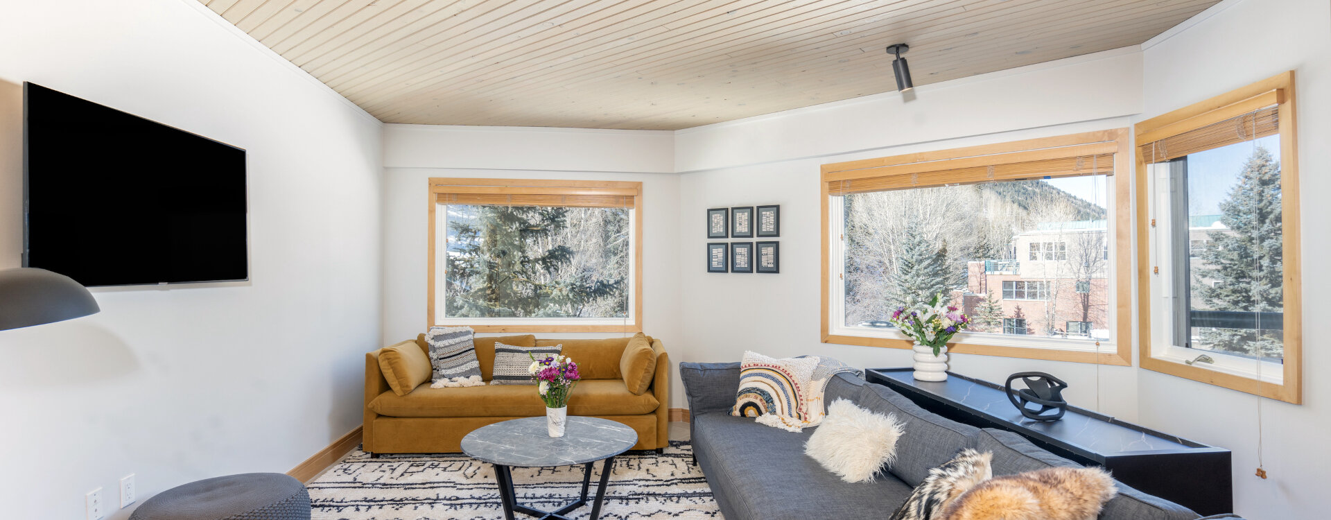 1.02-Telluride-Vacation-Rental-Ice-House-305-Living-Room-1