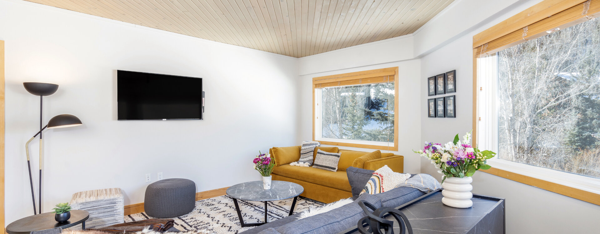 1.03-Telluride-Vacation-Rental-Ice-House-305-Living-Room-2