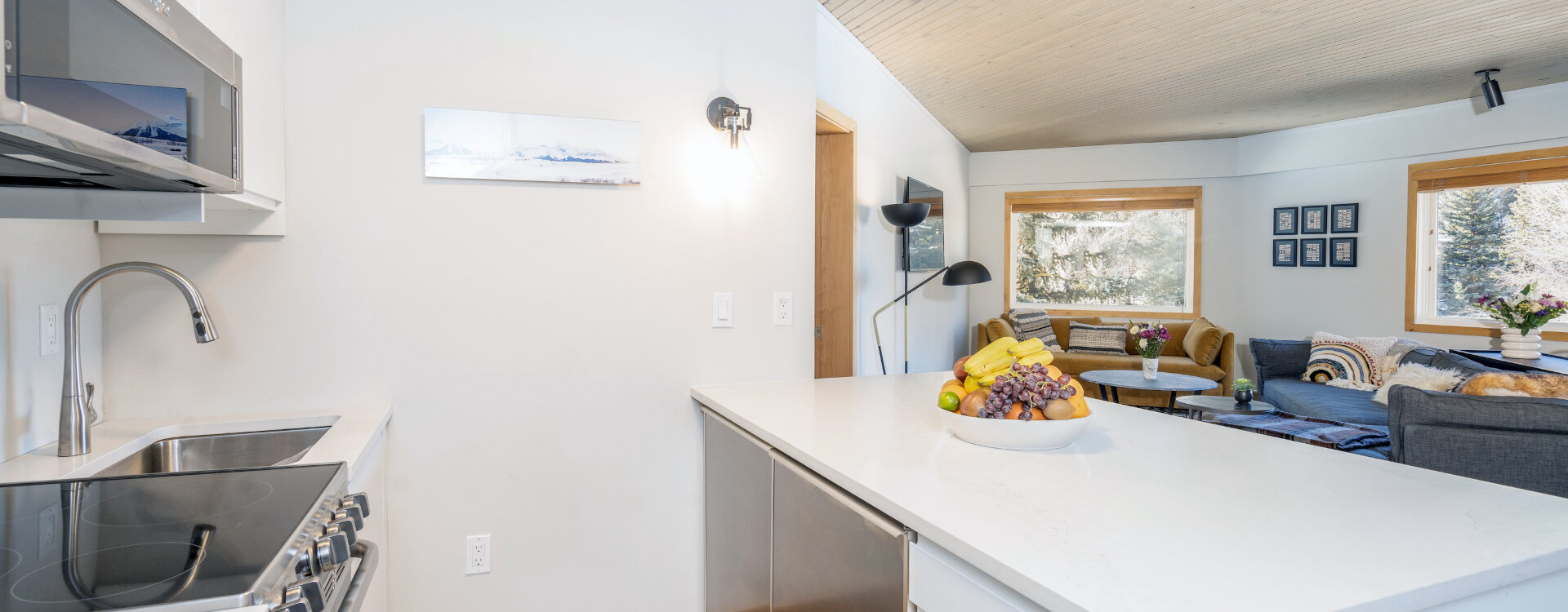 3.02-Telluride-Vacation-Rental-Ice-House-305-Kitchen-2