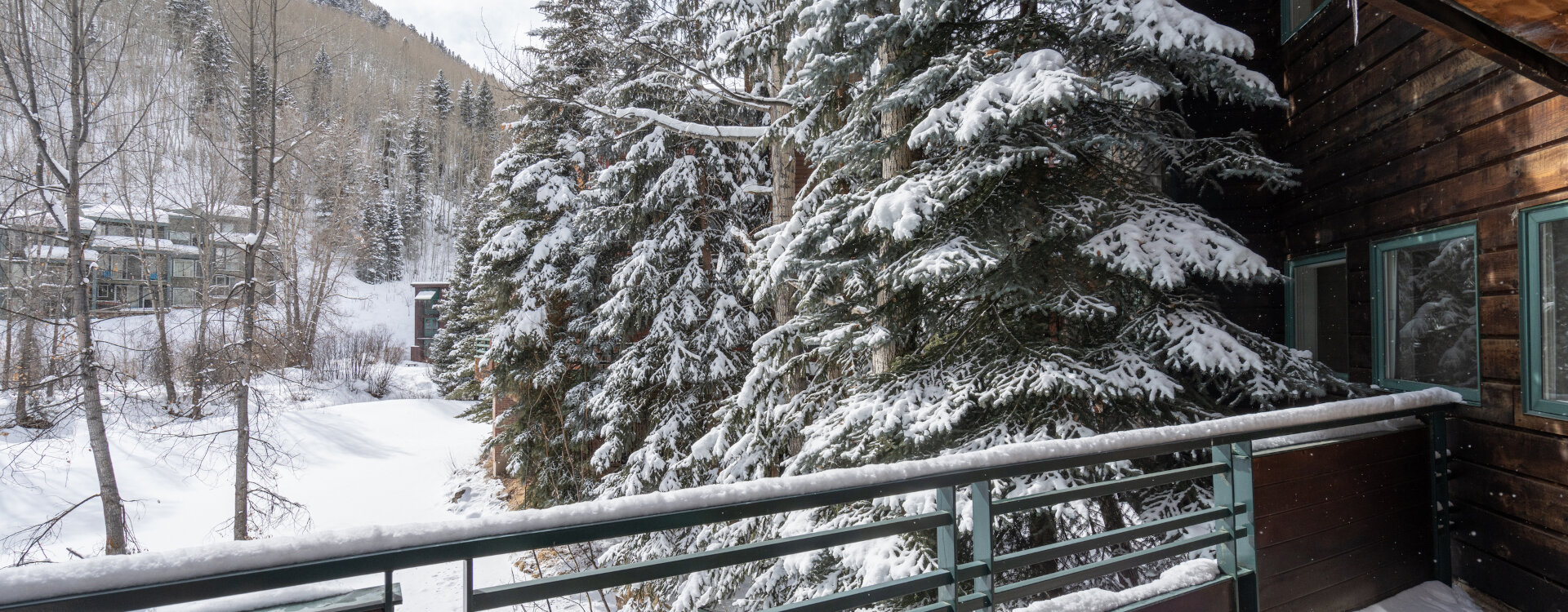 4.02-Telluride-Ice-House-220-Deck-View-1