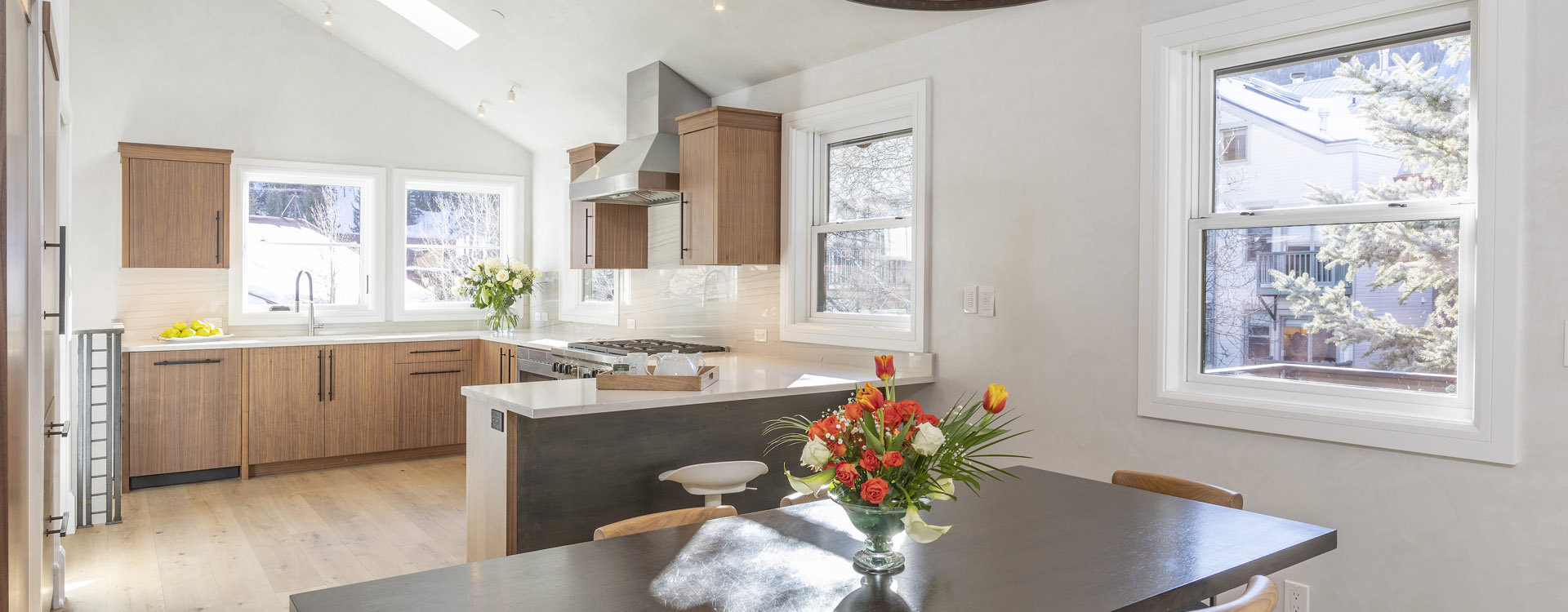 -Aspen-Gondola-Telluride-Vacation-Rental-DRkitchenAngle