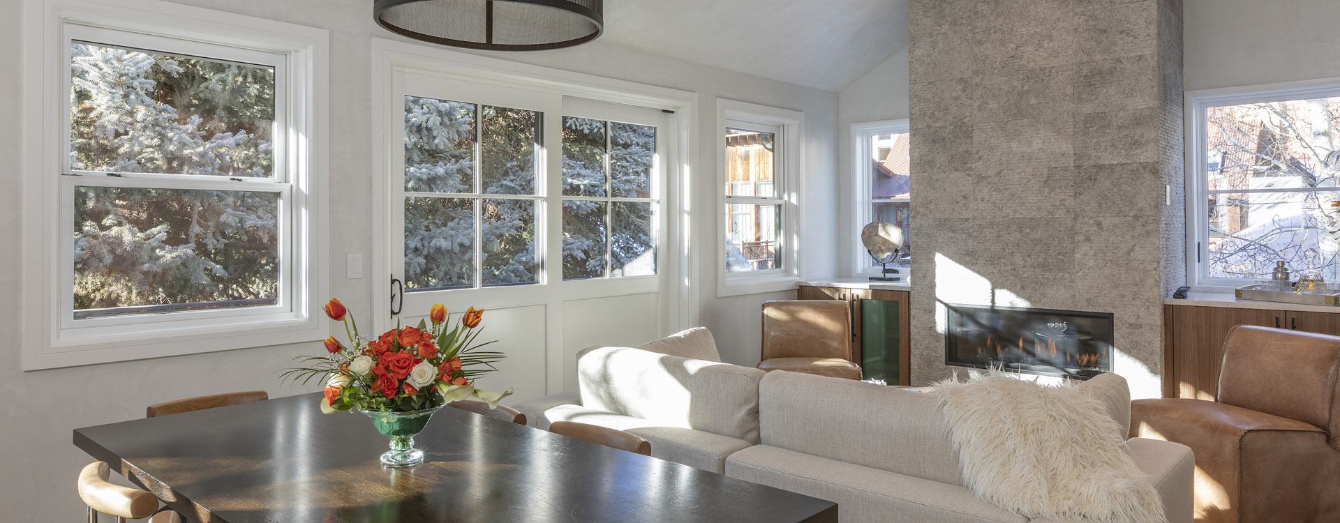 -Aspen-Gondola-Telluride-Vacation-Rental-DRlrAngle