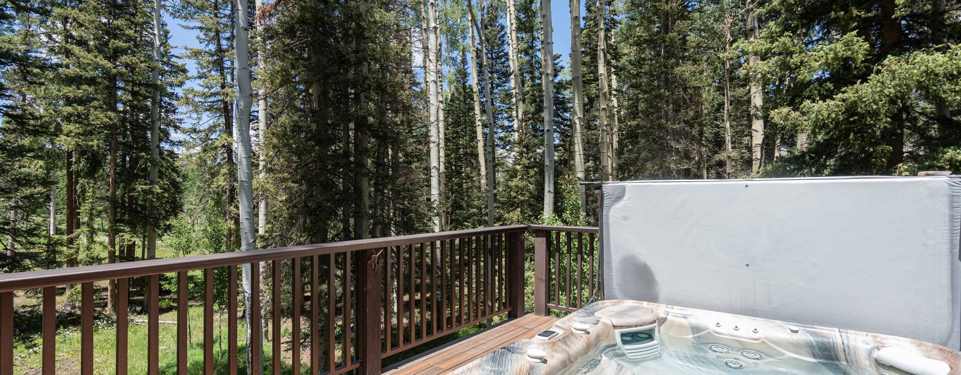 5.5_Aspen_Grove_Villa_Mountain_Village_Hot_Tub1