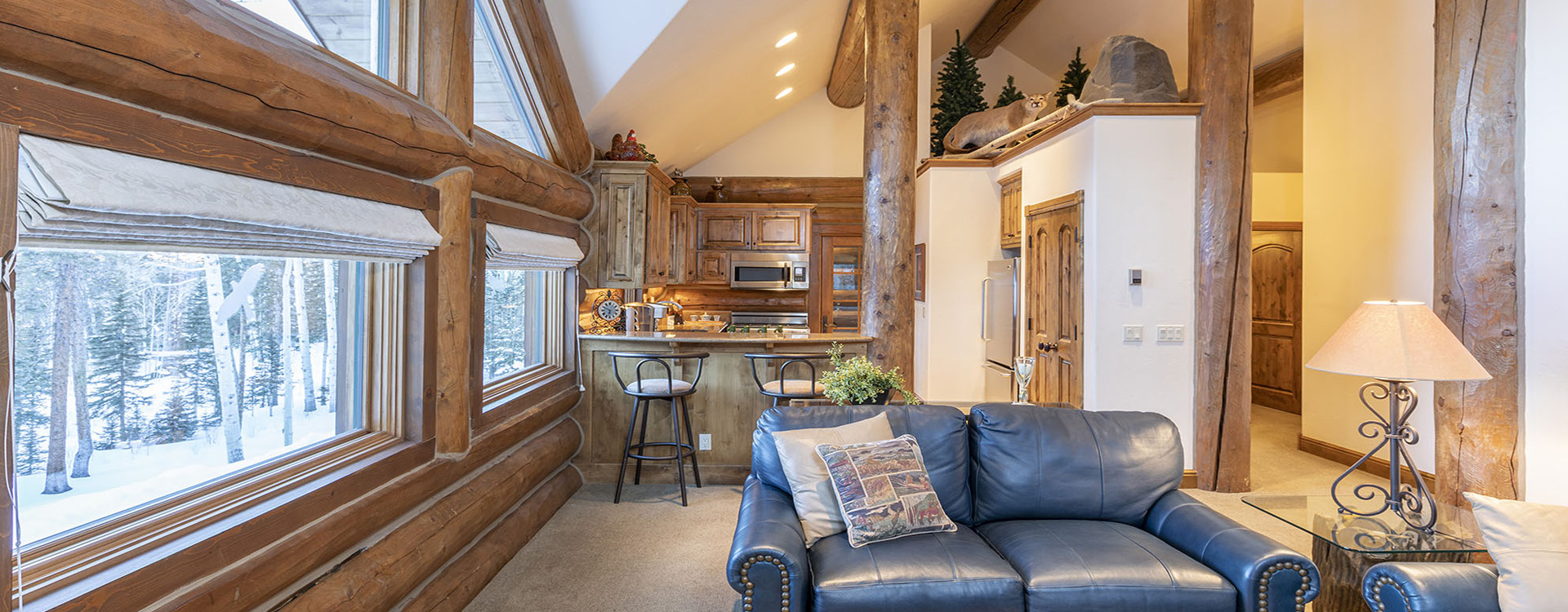 10.1-bearpaw-manor-telluride-guest-suite-living-room-kitchen