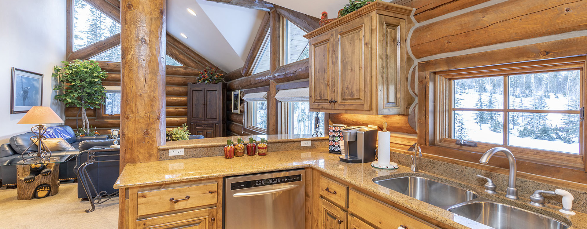 10.4-bearpaw-manor-telluride-guest-suite-kitchen-dr